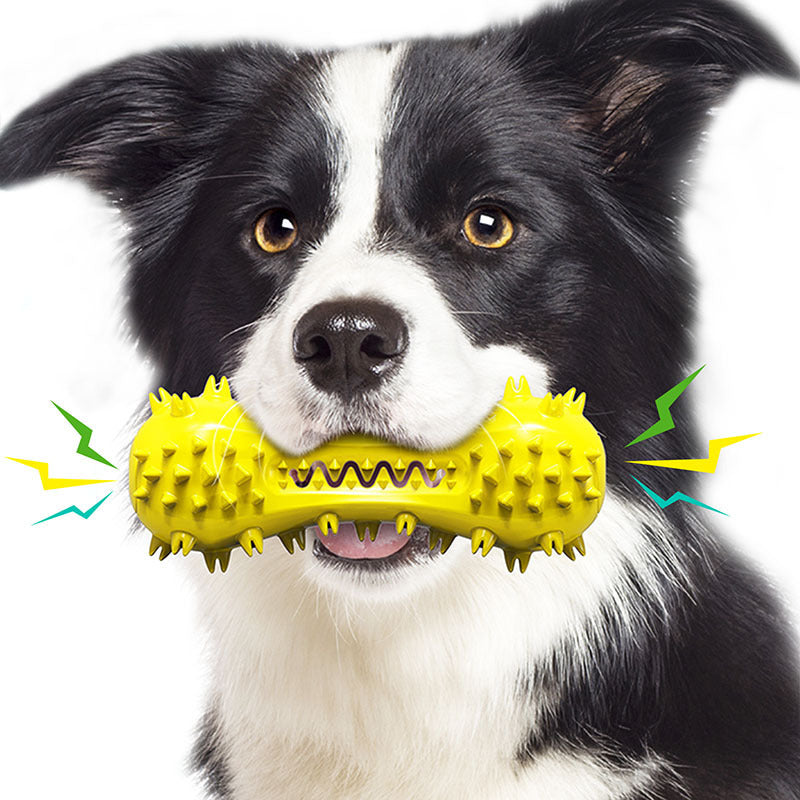 Fun Dental Chew Stick for Playful Pups