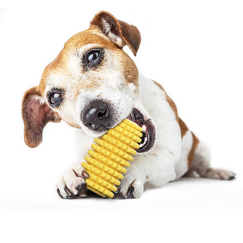 Fun Dental Chew Stick for Playful Pups