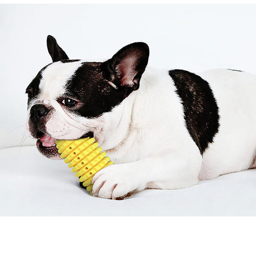 Fun Dental Chew Stick for Playful Pups