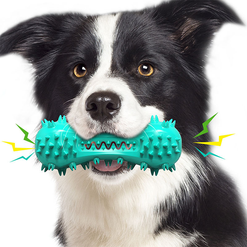 Fun Dental Chew Stick for Playful Pups