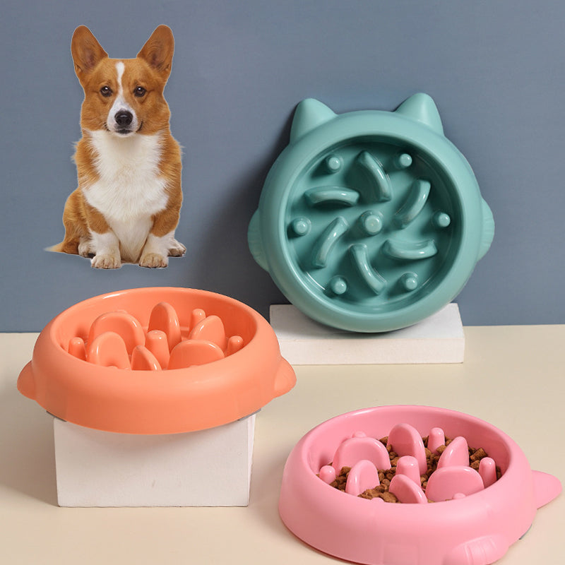 Gentle Slow Feeder Dish for Happy Digestion