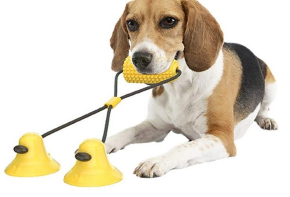 Fun Dental Chew Stick for Playful Pups