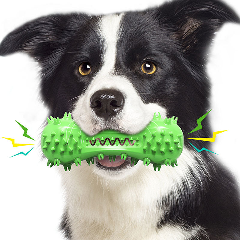 Fun Dental Chew Stick for Playful Pups