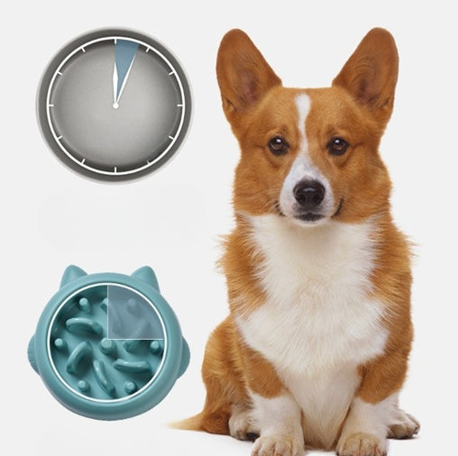 Gentle Slow Feeder Dish for Happy Digestion